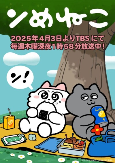 ンめねこ