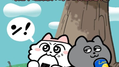 ンめねこ