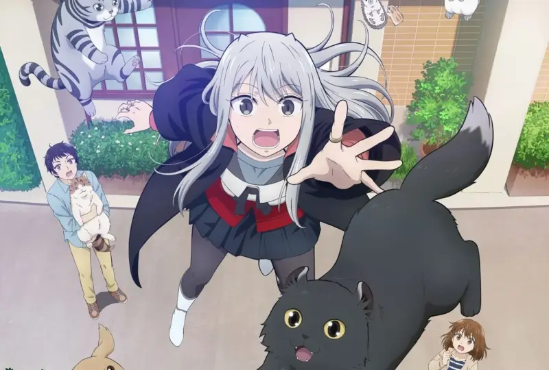 カワイスギクライシス