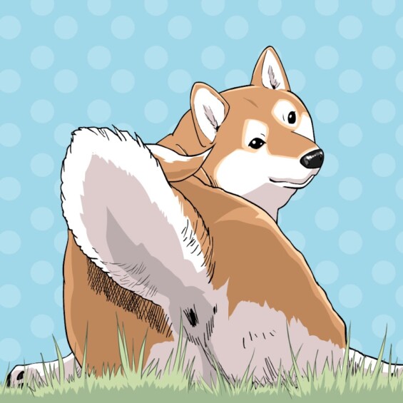 世界の終わりに柴犬と
