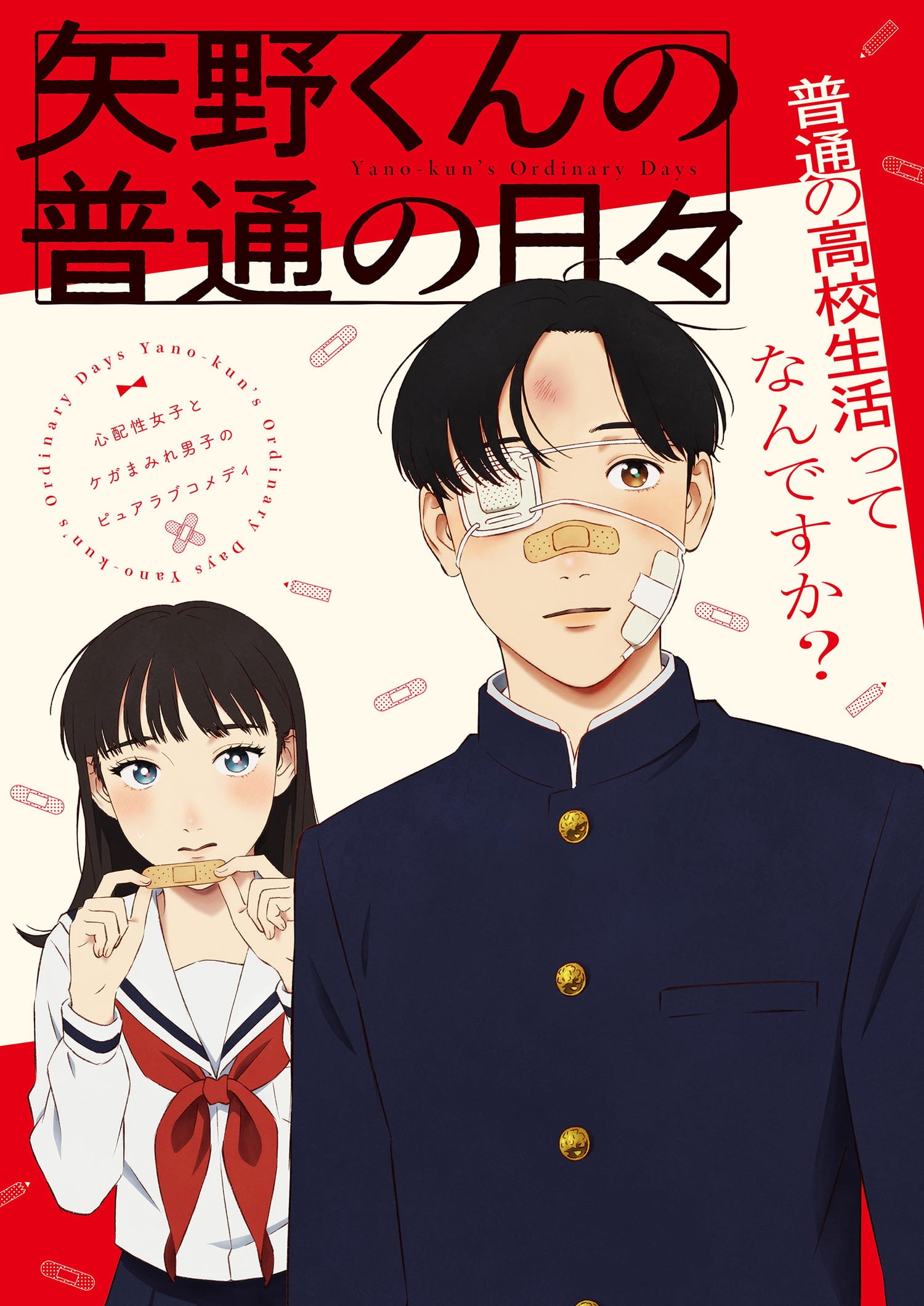矢野くんの普通の日々
