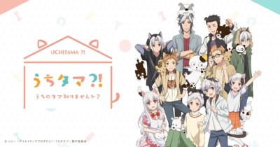 うちタマ?! ～うちのタマ知りませんか？～
