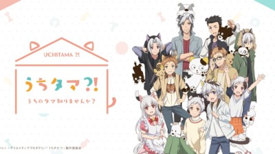 うちタマ?! ～うちのタマ知りませんか？～