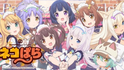 ネコぱら