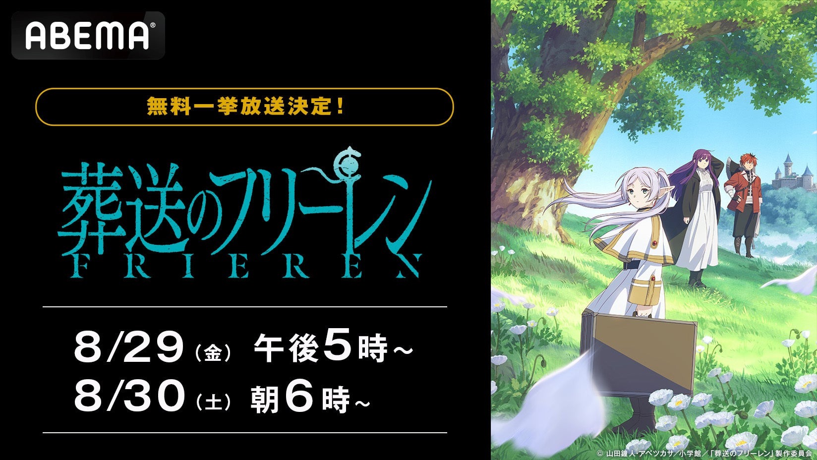 大人気の後日談ファンタジー作品『葬送のフリーレン』のテレビアニメ全28話が8月29日、30日の2日で一挙配信!