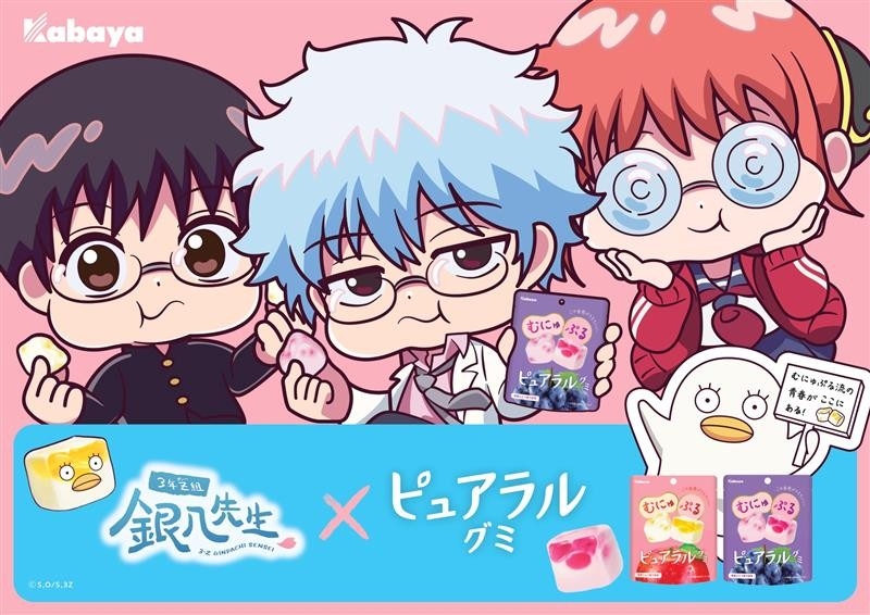 『3年Z組銀八先生』× ピュアラルグミ コラボキャンペーン開催決定！ ～グミ買って銀八先生とエリザベスに癒されよう♪～