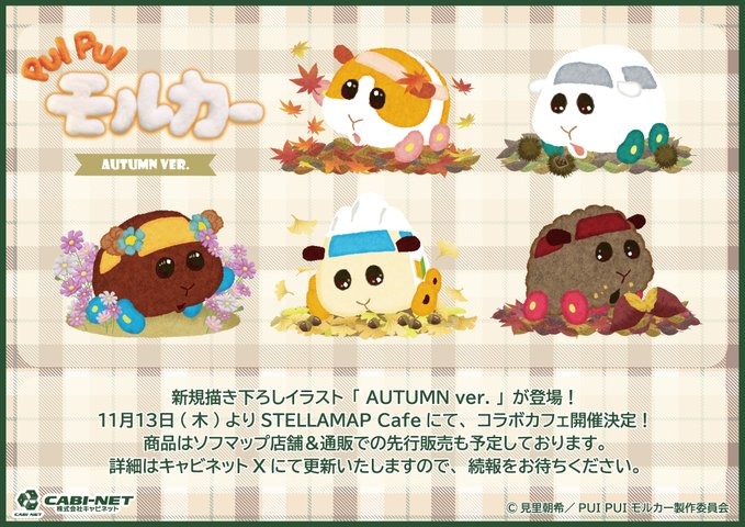 11月13日より「PUI PUI モルカー」と「ステラマップカフェ」のコラボカフェが秋葉原で開催！！