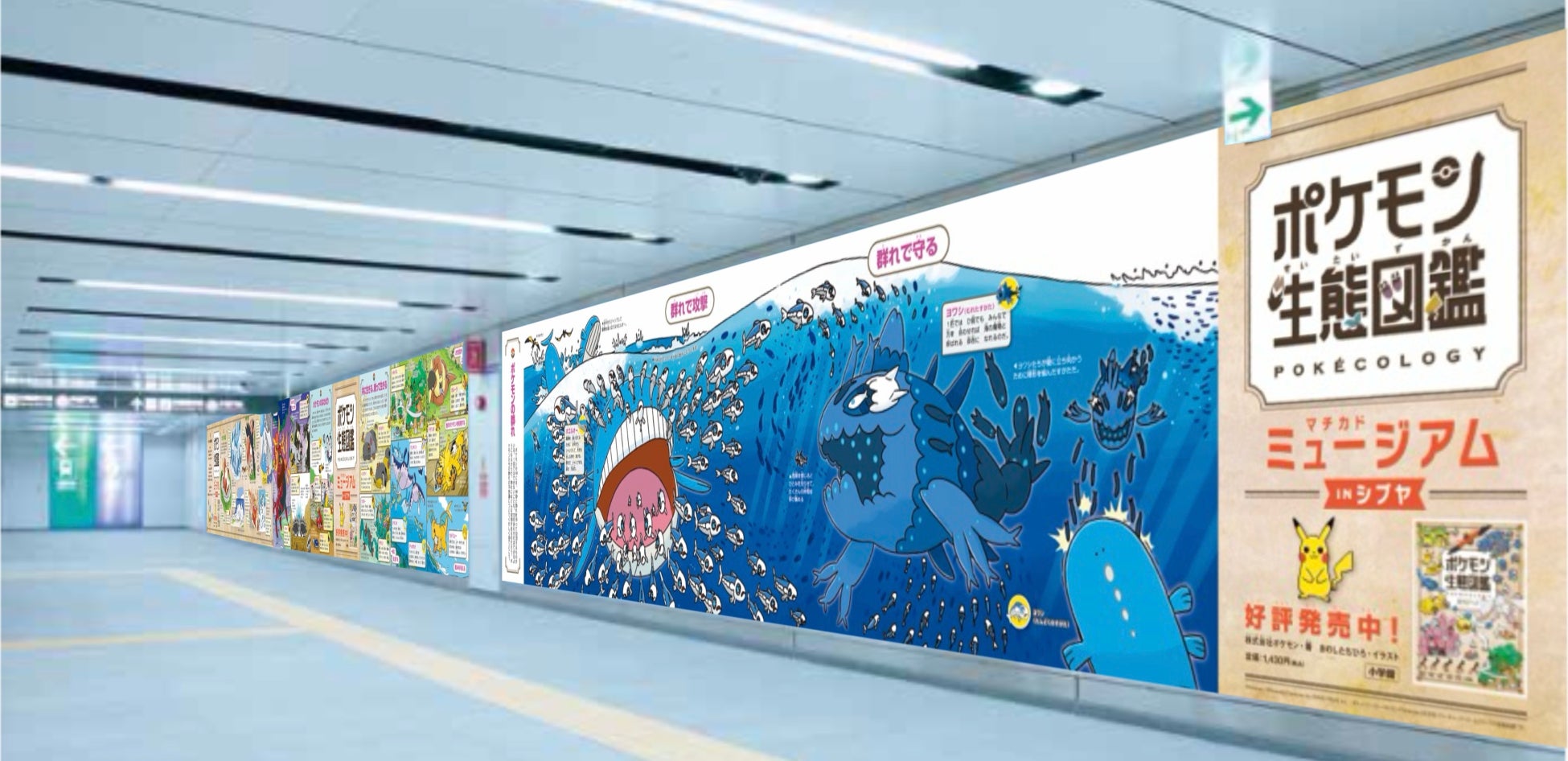 『ポケモン生態図鑑』発売1ヶ月で60万部突破！渋谷駅で“博物館級”パノラマ広告＆ふしぎ発見キャンペーンも開催中