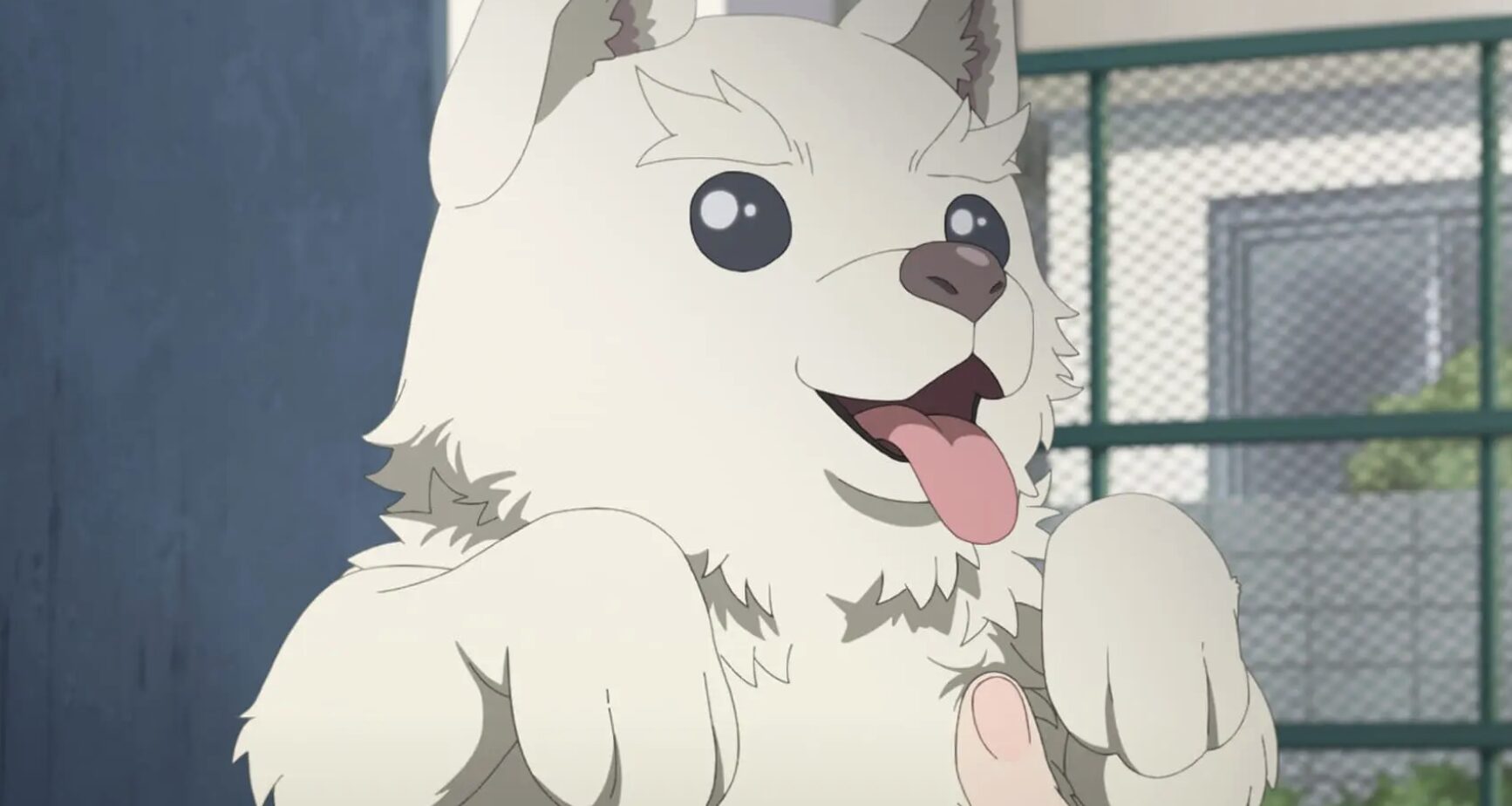 えがたえ 8話 感想まとめ「多頭飼いは大変だな」